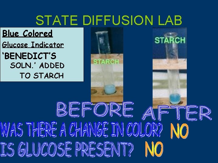 STATE DIFFUSION LAB Blue Colored Glucose Indicator ‘BENEDICT’S SOLN. ’ ADDED TO STARCH 