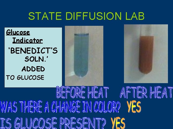 STATE DIFFUSION LAB Glucose Indicator ‘BENEDICT’S SOLN. ’ ADDED TO GLUCOSE 