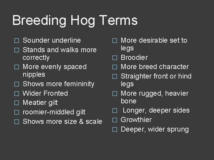 Breeding Hog Terms � � � � Sounderline Stands and walks more correctly More