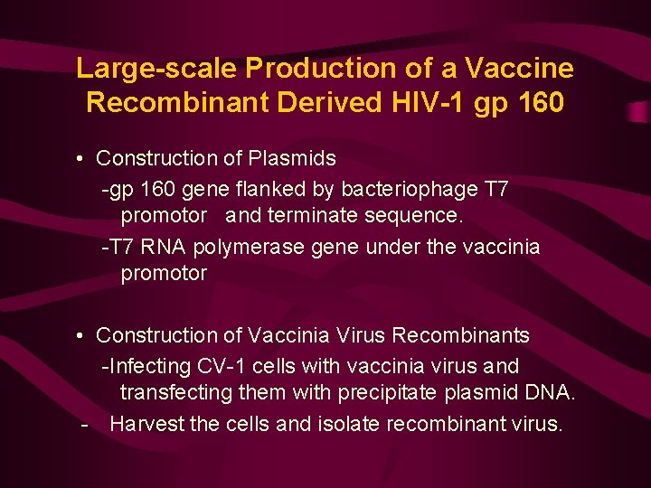 Large-scale Production of a Vaccine Recombinant Derived HIV-1 gp 160 • Construction of Plasmids