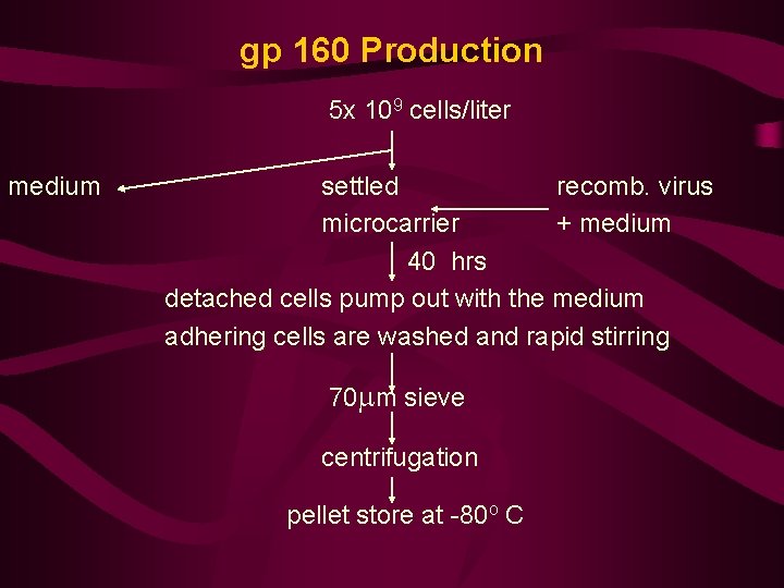 gp 160 Production 5 x 109 cells/liter medium settled recomb. virus microcarrier + medium