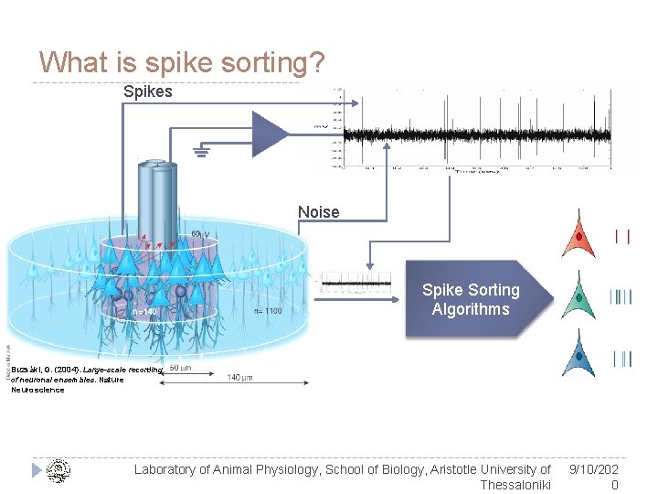 What is spike sorting? Spikes Noise Spike Sorting Algorithms Buzsáki, G. (2004). Large-scale recording