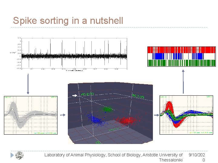 Spike sorting in a nutshell Laboratory of Animal Physiology, School of Biology, Aristotle University
