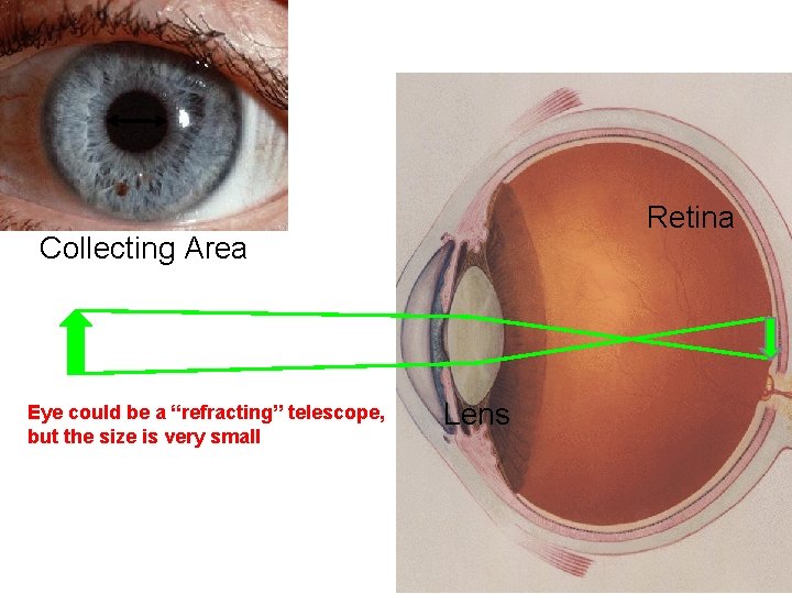 Retina Collecting Area Eye could be a “refracting” telescope, but the size is very