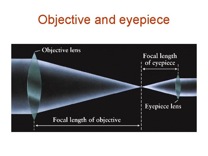 Objective and eyepiece 