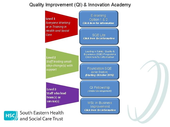 Quality Improvement (QI) & Innovation Academy Level 1 Everyone Working or in Training in