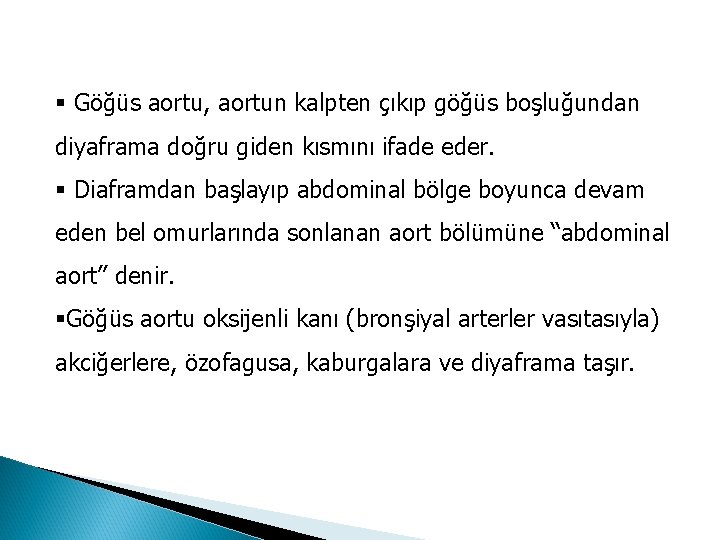 § Göğüs aortu, aortun kalpten çıkıp göğüs boşluğundan diyaframa doğru giden kısmını ifade eder.