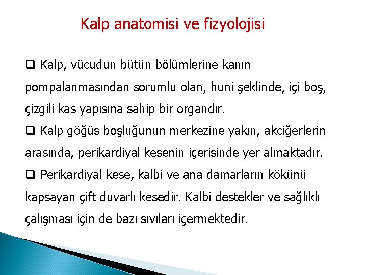 Kalp anatomisi ve fizyolojisi q Kalp, vücudun bütün bölümlerine kanın pompalanmasından sorumlu olan, huni