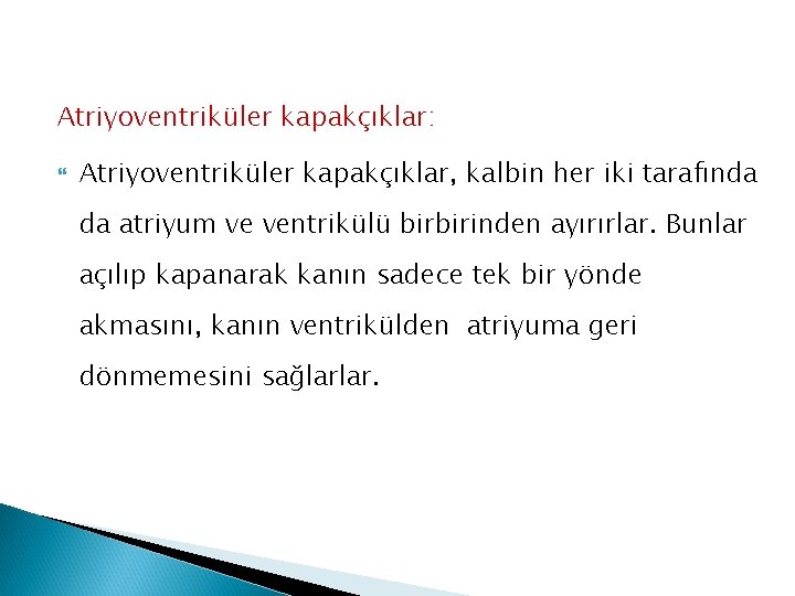 Atriyoventriküler kapakçıklar: Atriyoventriküler kapakçıklar, kalbin her iki tarafında da atriyum ve ventrikülü birbirinden ayırırlar.