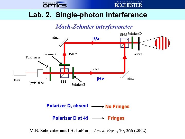 Lab. 2. Single-photon interference Mach-Zehnder interferometer mirror Polarizer A |V> Polarizer C NPBS Polarizer