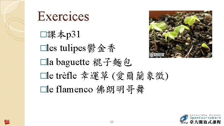 Exercices �課本p 31 �les tulipes鬱金香 �la baguette 棍子麵包 �le trèfle 幸運草 (愛爾蘭象徵) �le flamenco