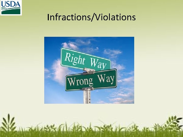 Infractions/Violations 