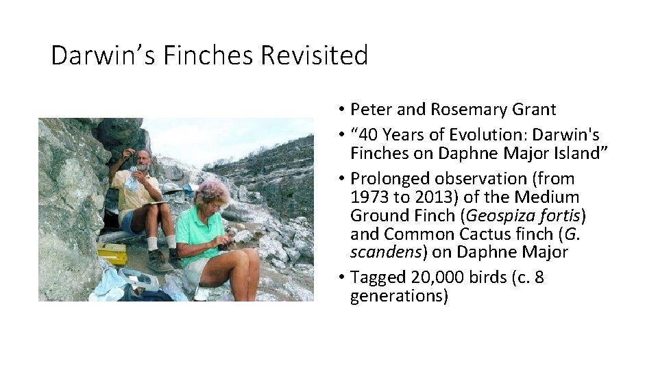 Darwin’s Finches Revisited • Peter and Rosemary Grant • “ 40 Years of Evolution: