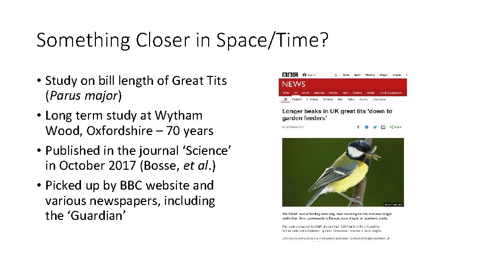 Something Closer in Space/Time? • Study on bill length of Great Tits (Parus major)