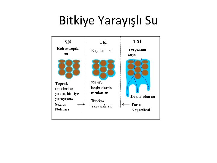 Bitkiye Yarayışlı Su 