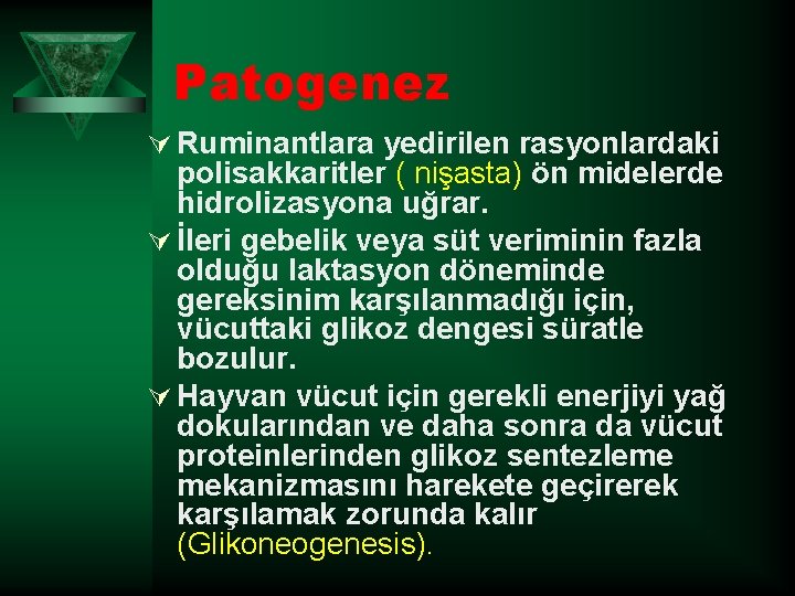 Patogenez Ú Ruminantlara yedirilen rasyonlardaki polisakkaritler ( nişasta) ön midelerde hidrolizasyona uğrar. Ú İleri