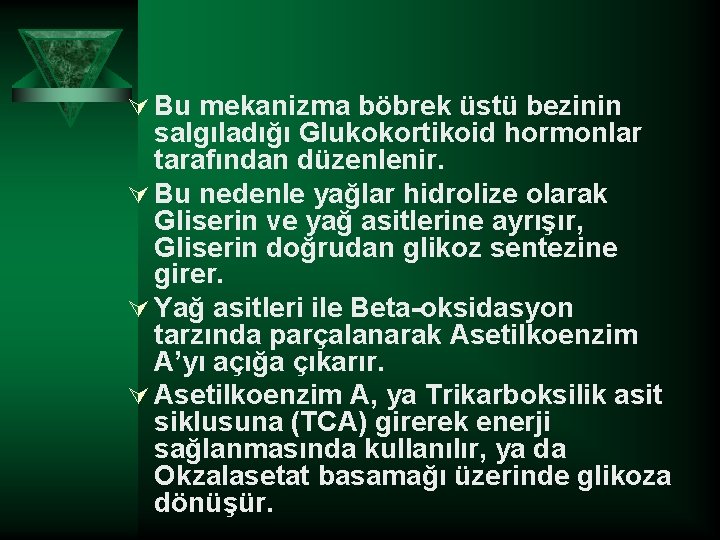 Ú Bu mekanizma böbrek üstü bezinin salgıladığı Glukokortikoid hormonlar tarafından düzenlenir. Ú Bu nedenle