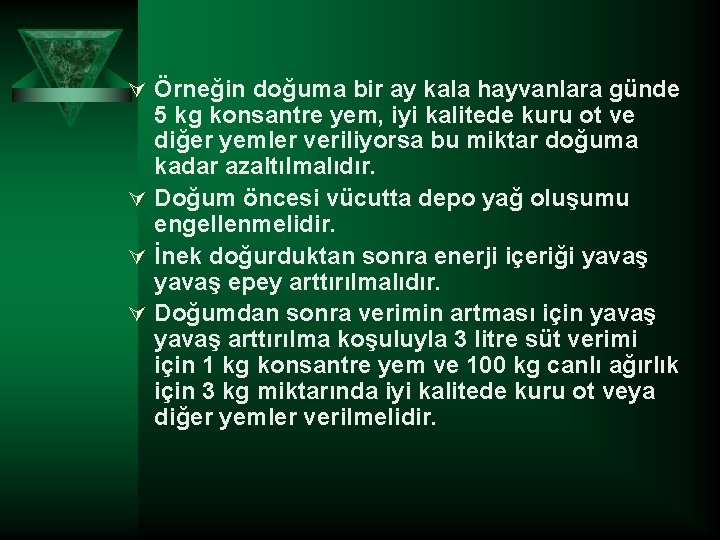 Ú Örneğin doğuma bir ay kala hayvanlara günde 5 kg konsantre yem, iyi kalitede