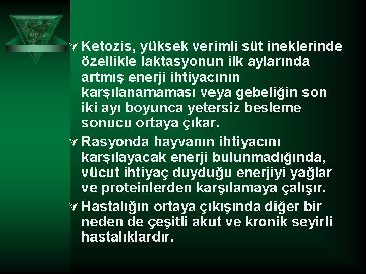 Ú Ketozis, yüksek verimli süt ineklerinde özellikle laktasyonun ilk aylarında artmış enerji ihtiyacının karşılanamaması