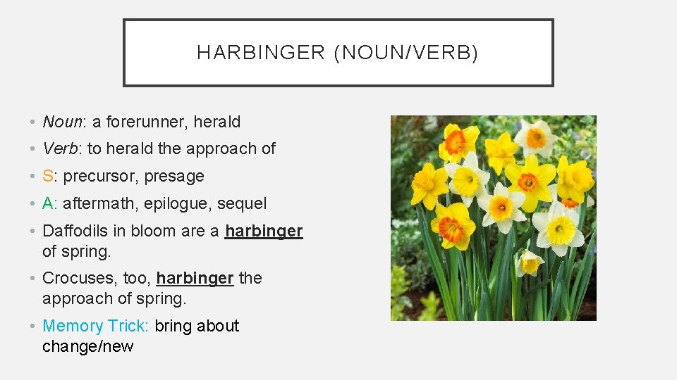 HARBINGER (NOUN/VERB) • Noun: a forerunner, herald • Verb: to herald the approach of