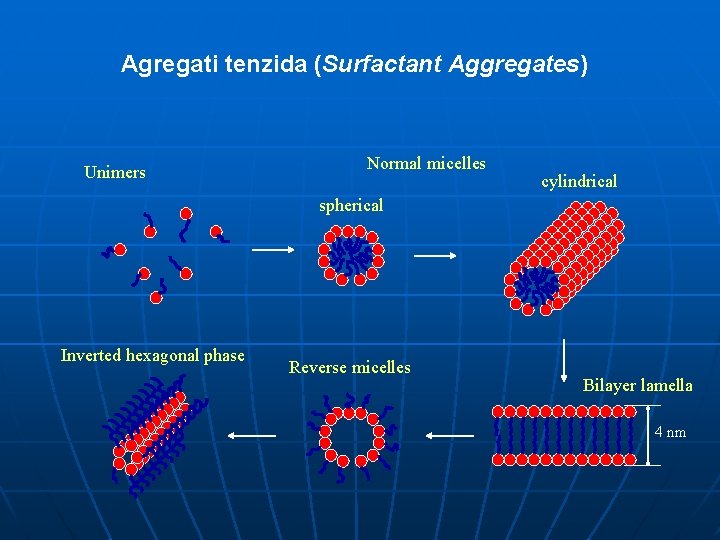 Agregati tenzida (Surfactant Aggregates) Unimers Normal micelles cylindrical spherical Inverted hexagonal phase Reverse micelles