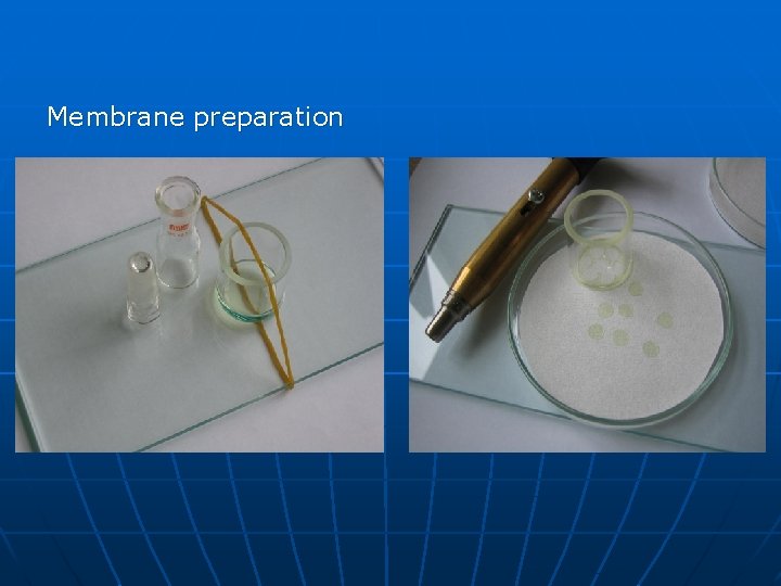 Membrane preparation 