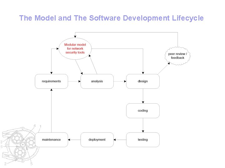 The Model and The Software Development Lifecycle 
