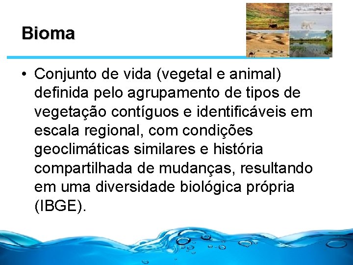 Bioma • Conjunto de vida (vegetal e animal) definida pelo agrupamento de tipos de