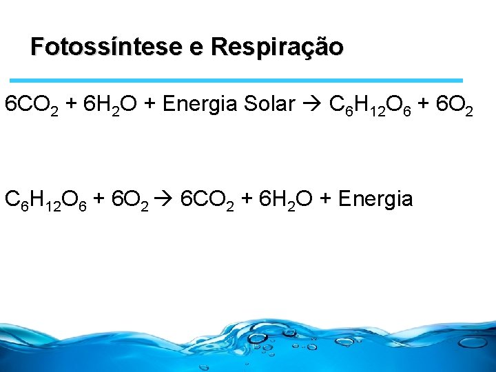 Fotossíntese e Respiração 6 CO 2 + 6 H 2 O + Energia Solar