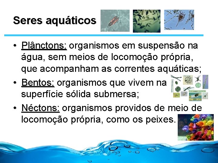 Seres aquáticos • Plânctons: organismos em suspensão na água, sem meios de locomoção própria,