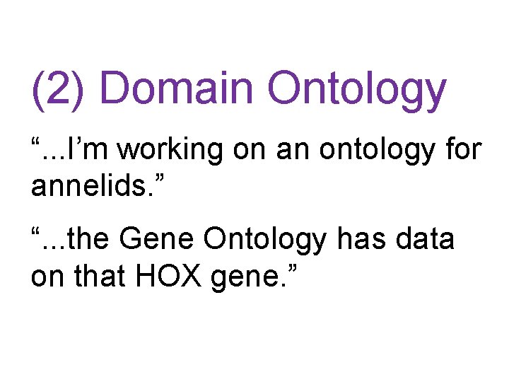 (2) Domain Ontology “. . . I’m working on an ontology for annelids. ”