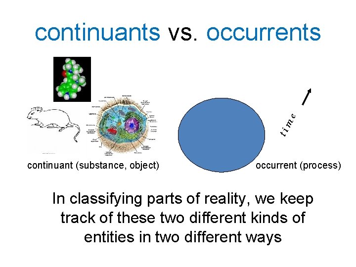 ti m e continuants vs. occurrents continuant (substance, object) occurrent (process) In classifying parts