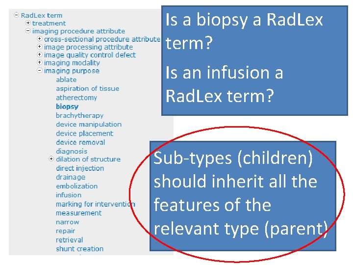 Is a biopsy a Rad. Lex term? Is an infusion a Rad. Lex term?