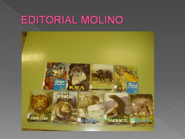 EDITORIAL MOLINO 