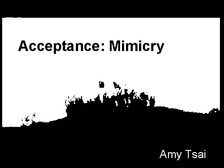 Acceptance: Mimicry Amy Tsai 