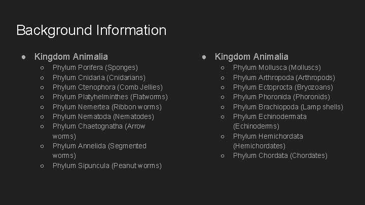 Background Information ● Kingdom Animalia ○ ○ ○ ○ ○ Phylum Porifera (Sponges) Phylum