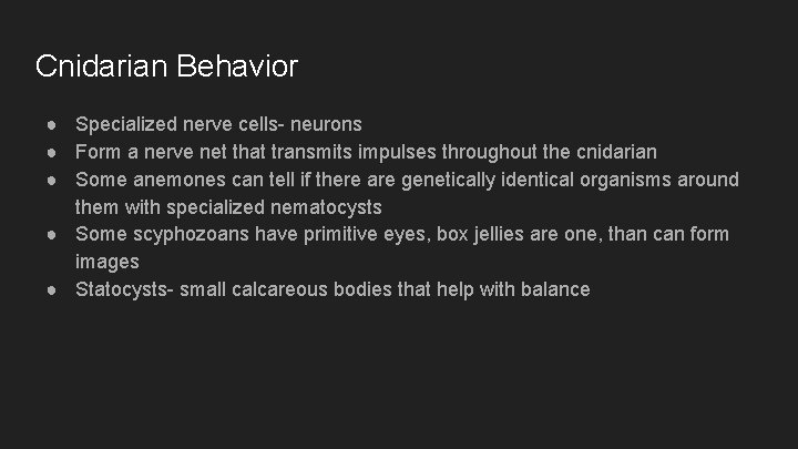 Cnidarian Behavior ● Specialized nerve cells- neurons ● Form a nerve net that transmits