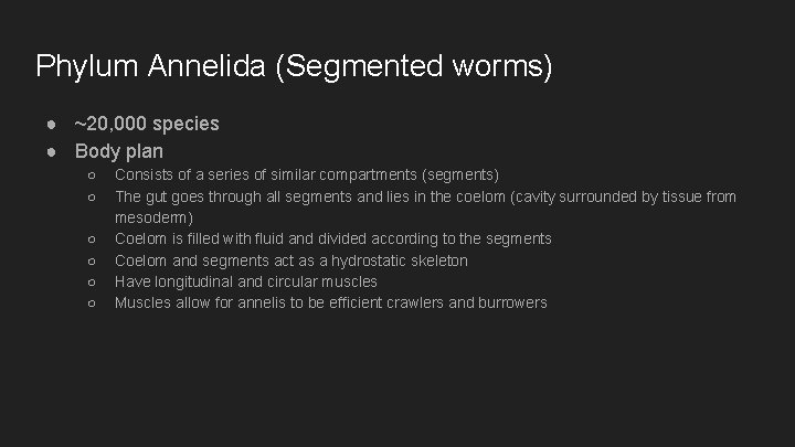 Phylum Annelida (Segmented worms) ● ~20, 000 species ● Body plan ○ ○ ○