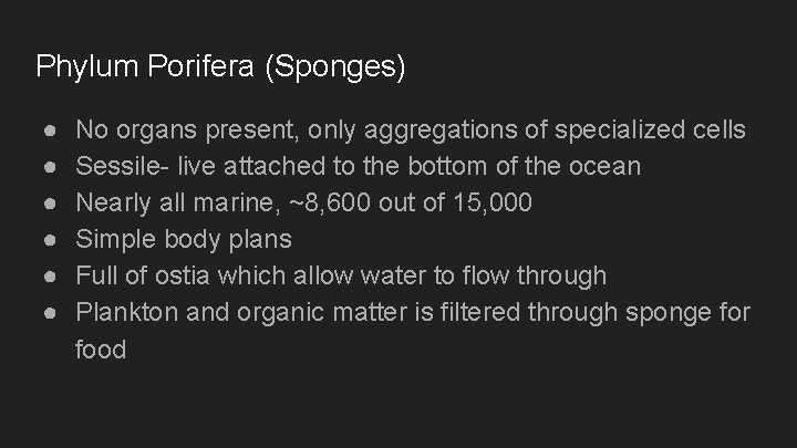 Phylum Porifera (Sponges) ● ● ● No organs present, only aggregations of specialized cells