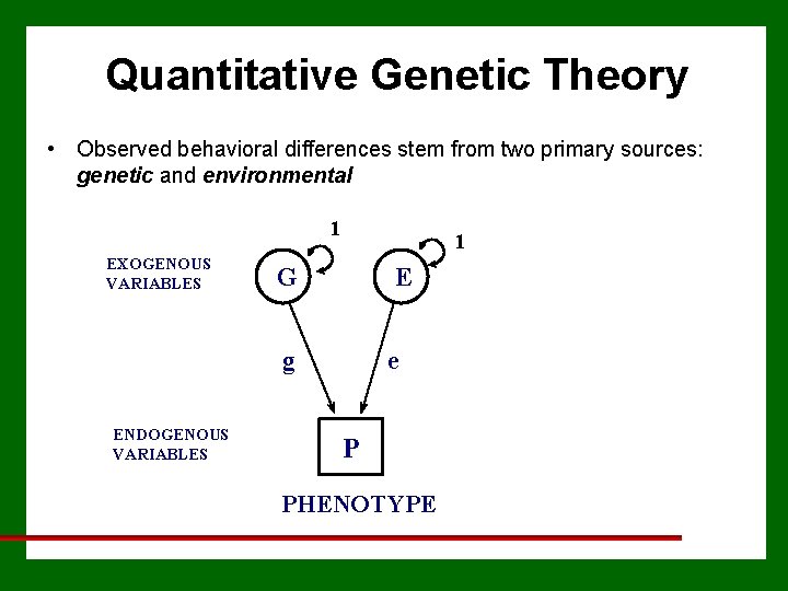 Quantitative Genetic Theory • Observed behavioral differences stem from two primary sources: genetic and