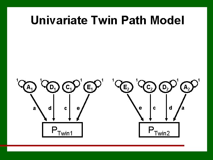 Univariate Twin Path Model 1 1 A 1 a 1 D 1 C 1