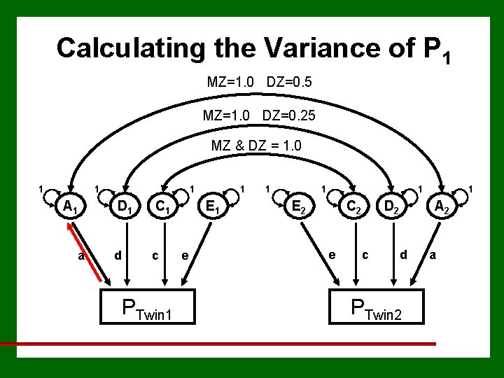 Calculating the Variance of P 1 MZ=1. 0 DZ=0. 5 MZ=1. 0 DZ=0. 25