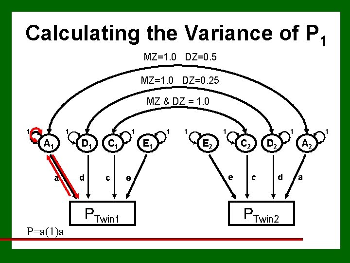 Calculating the Variance of P 1 MZ=1. 0 DZ=0. 5 MZ=1. 0 DZ=0. 25