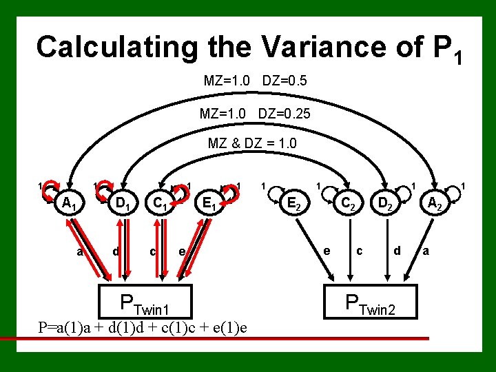 Calculating the Variance of P 1 MZ=1. 0 DZ=0. 5 MZ=1. 0 DZ=0. 25