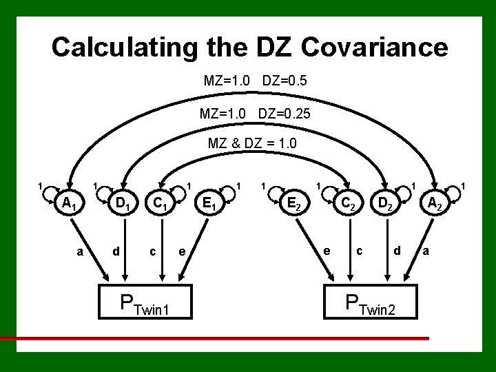 Calculating the DZ Covariance MZ=1. 0 DZ=0. 5 MZ=1. 0 DZ=0. 25 MZ &