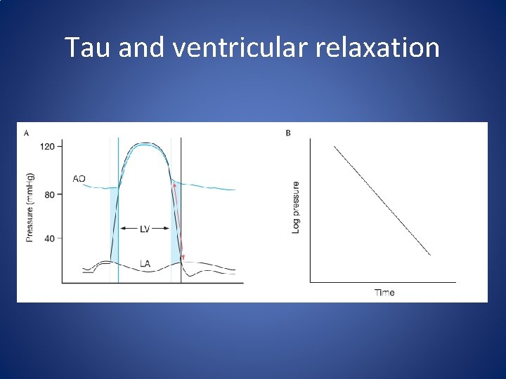 Tau and ventricular relaxation 