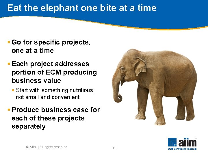 Eat the elephant one bite at a time § Go for specific projects, one