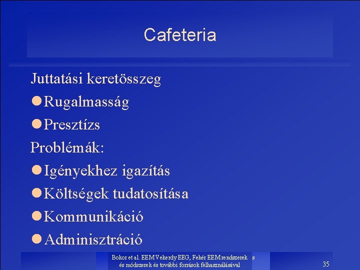 Cafeteria Juttatási keretösszeg l Rugalmasság l Presztízs Problémák: l Igényekhez igazítás l Költségek tudatosítása