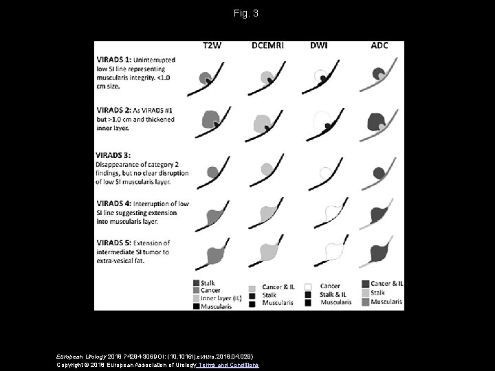 Fig. 3 European Urology 2018 74294 -306 DOI: (10. 1016/j. eururo. 2018. 04. 029)