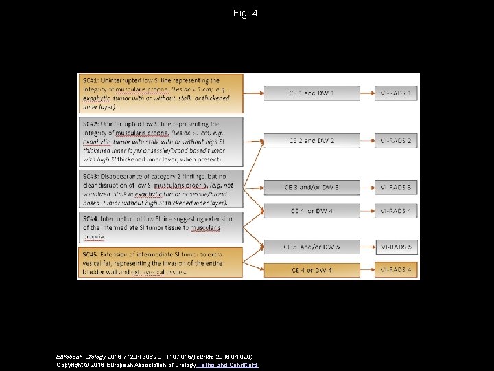 Fig. 4 European Urology 2018 74294 -306 DOI: (10. 1016/j. eururo. 2018. 04. 029)